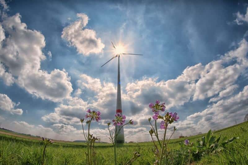The Science and Practice of Sustainable Development